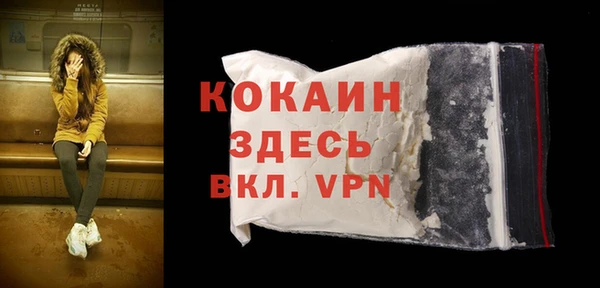 эйфоретик Няндома