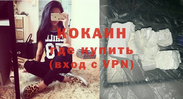 крисы Осинники