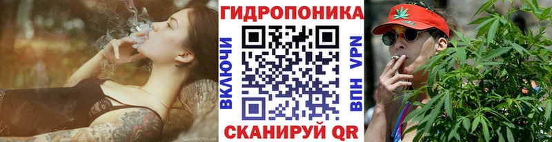 Конопля Amnesia Ладушкин